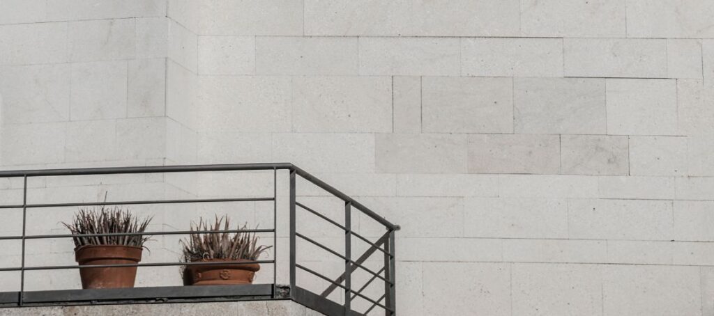 a plant on a railing